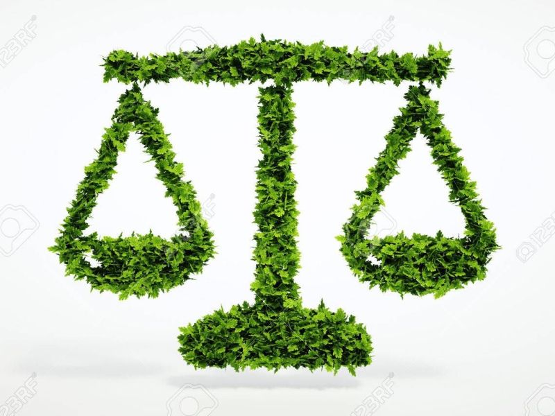 Environmental Laws : A legacy of dormancy