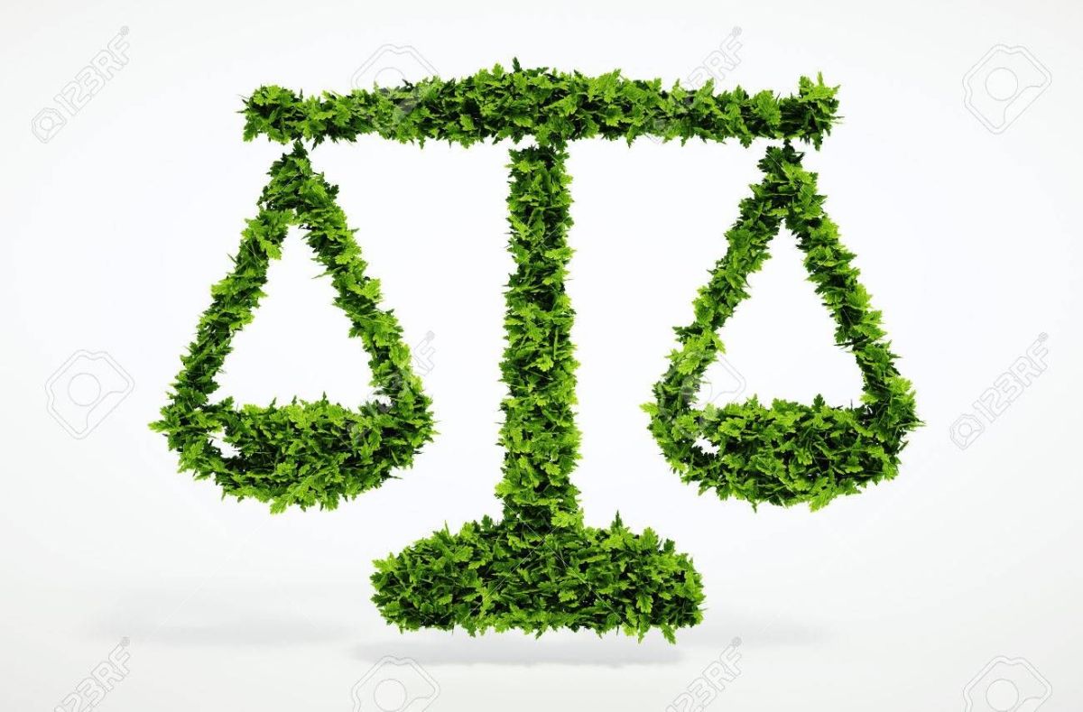 Environmental Laws : A legacy of dormancy